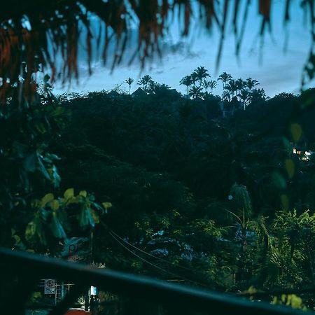 Blue Pepper Beds Sayulita 호스텔 외부 사진