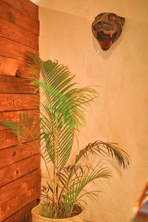 Blue Pepper Beds Sayulita 호스텔 외부 사진